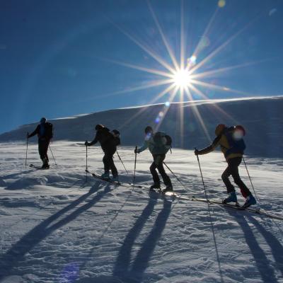 Horlini 16.01.2025