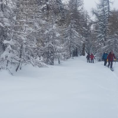 Les Planards 14.01.2021