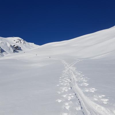 Reco 8.02.21