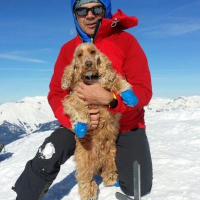 A la croix avec Zola