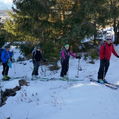 Sortie de la forêt en douceur