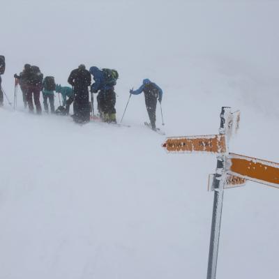 Bella Tola 7.04.2022