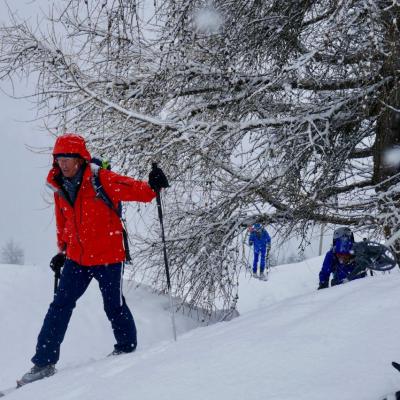c'est l'hiver.