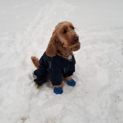 Cette fois j'ai mis le manteau..