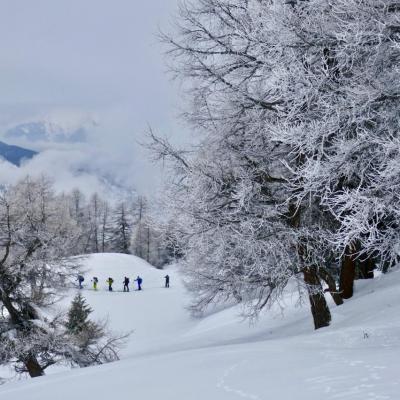 dans le brouillard
