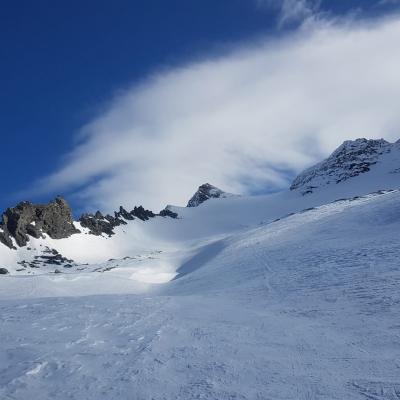 Reco 8.03