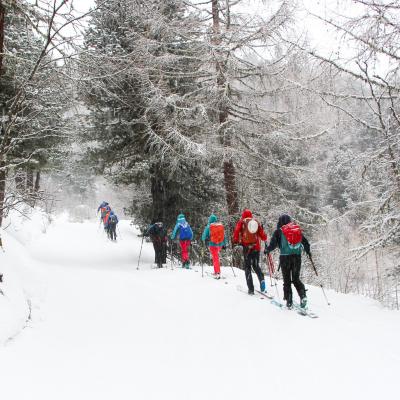 Arollaska 23.01.2025