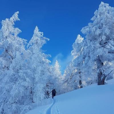 Horlini 21.01.2021