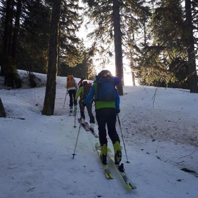 on attaque la montée en forêt avec un neige bienveillante.