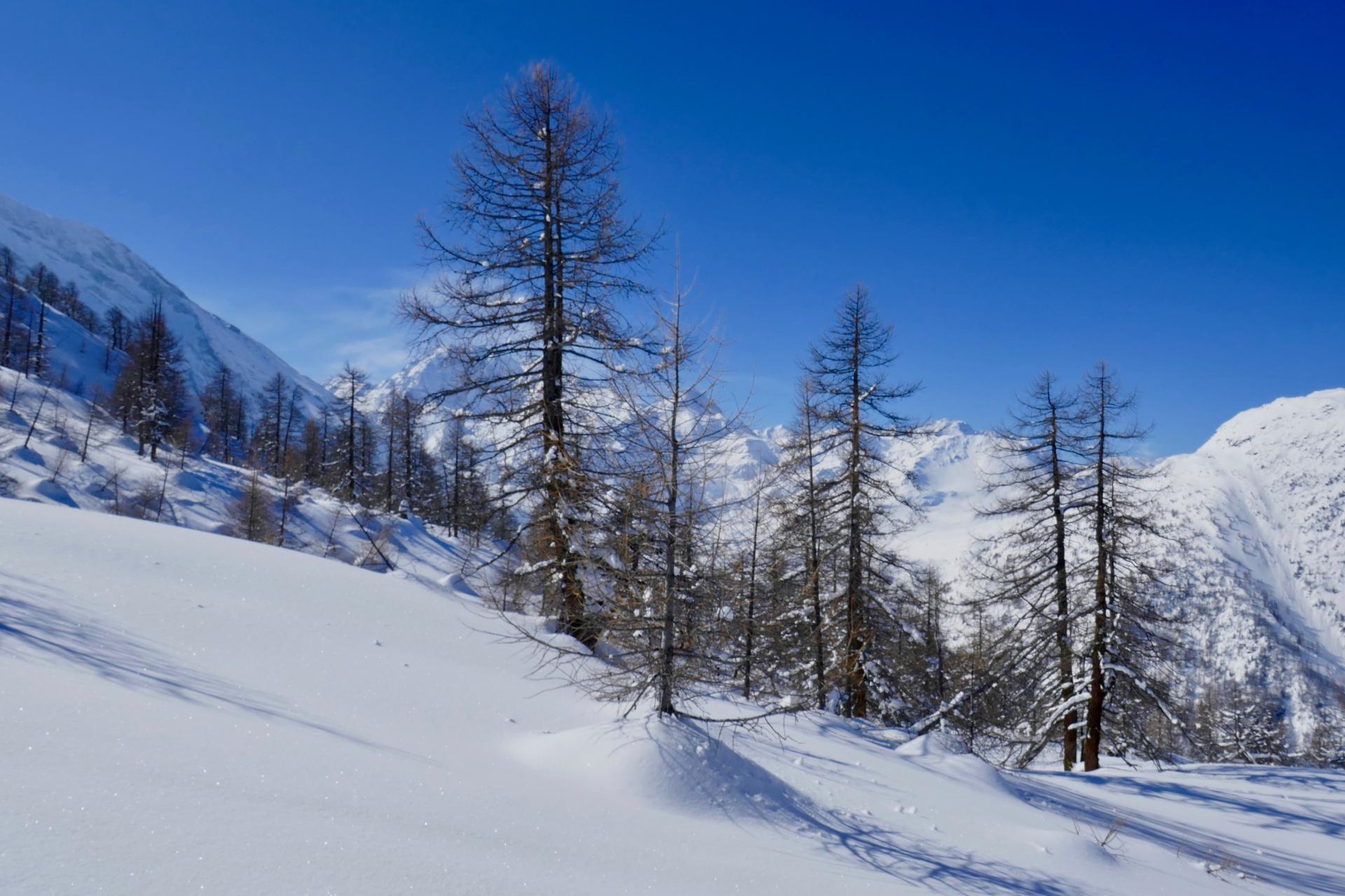 Paysage tout droit sorti d'une carte postale.