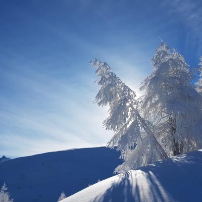 Sur Plan Devant 31.01.2019