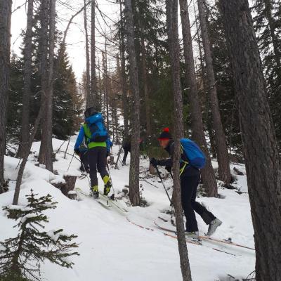 Petit passage en forêt. 
