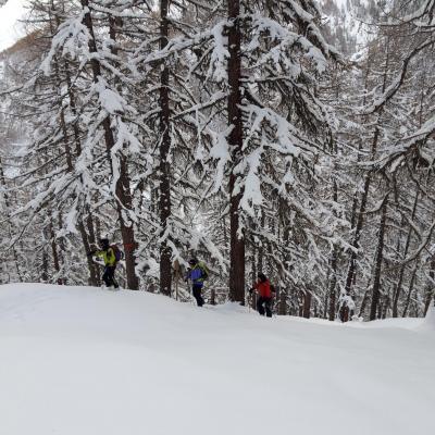Sous les Aiguilles Rouges (Montagne) 5.04.2019