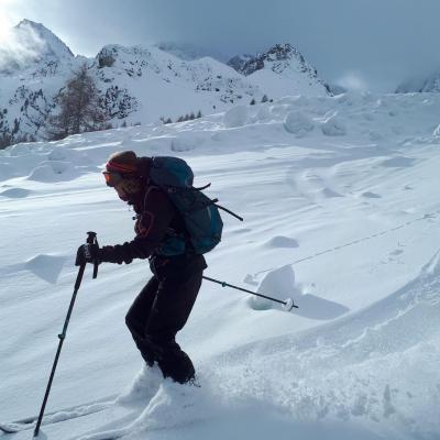 Reco. un joli planté du bâton.