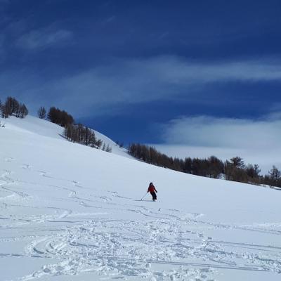 Reco une belle trace pour tout le monde.
